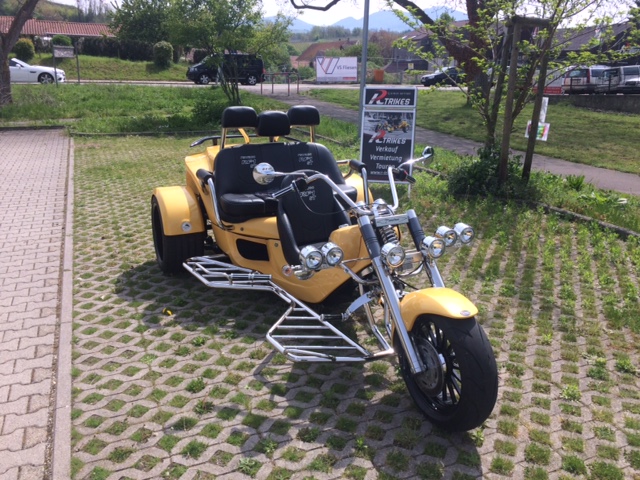 WINDSCHILD F. 22MM + 25mm Lenker BOOM Rewaco WK Wolf Easy Trike Scheibe Schutz EUR 164,95 - DE